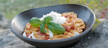 Těstoviny s burratou a rajčátky 