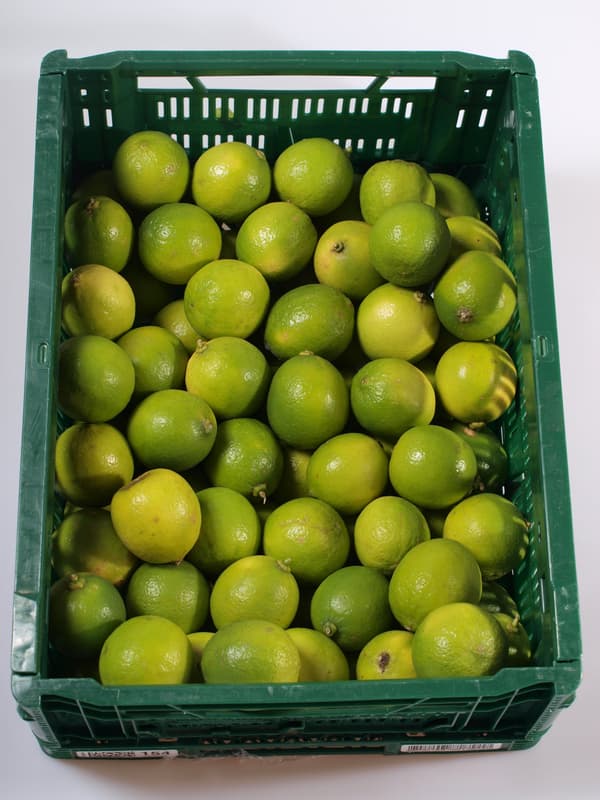 Lime 1pc