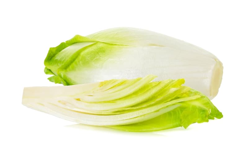 Chicory white, pack