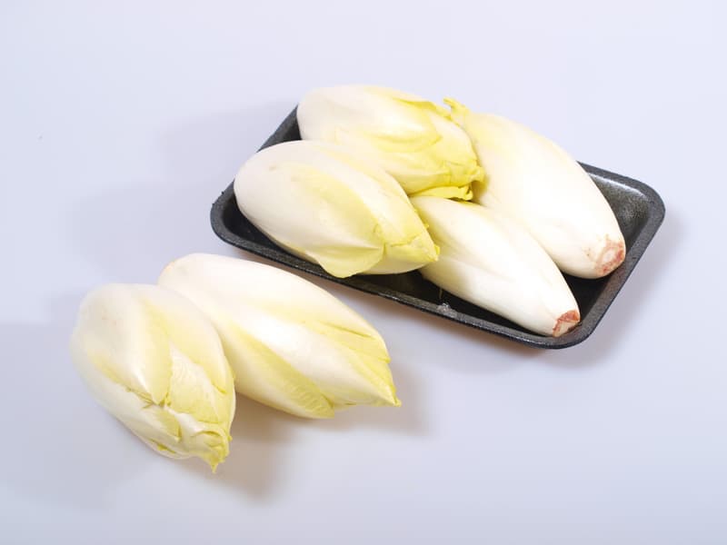 Chicory white, pack