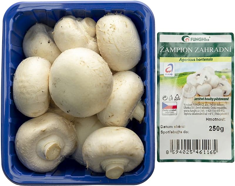 Champignons white
