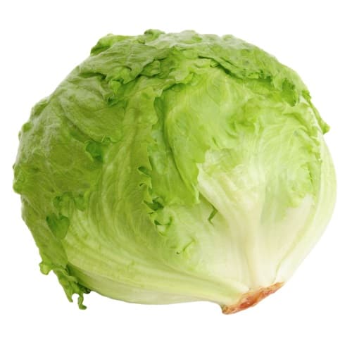 Iceberg lettuce 1 pc