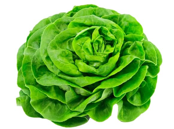 Lettuce 1pc