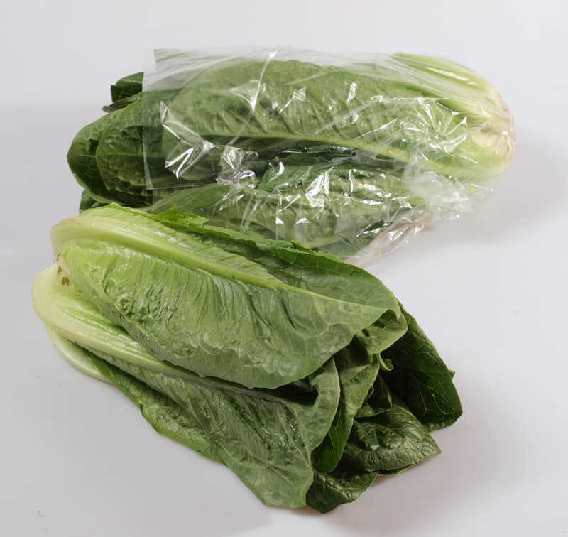 Salát římský 1 ks