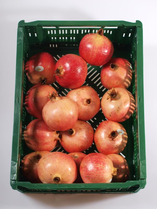 Granátové jablko 1 ks (min. hm. 240 g+)