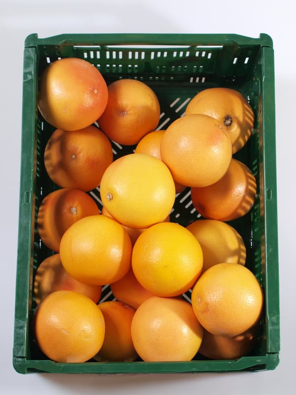 Grapefruit red 1pc