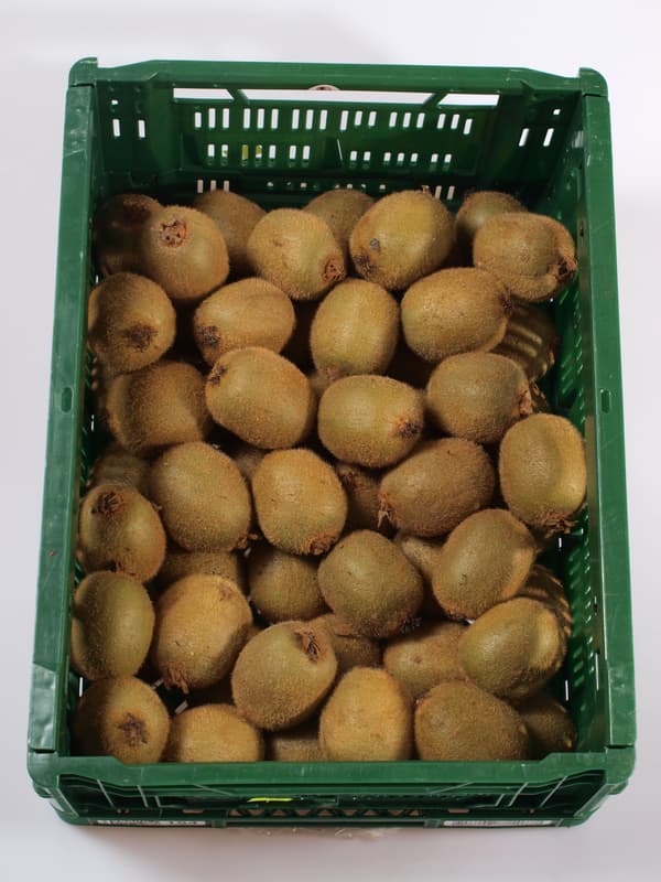 Kiwi 1pc (approx. 120g)