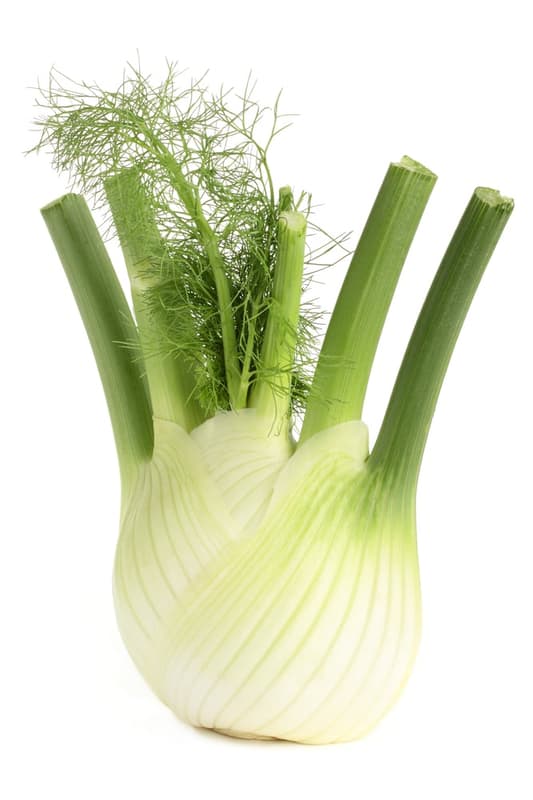 Fennel 1 pc