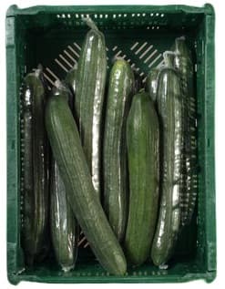 Cucumber (cca 300g)