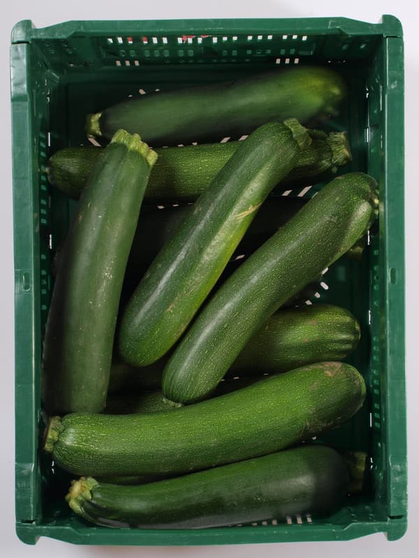 Cuketa zelená 1 ks