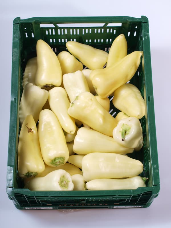 Pepper white 1pc