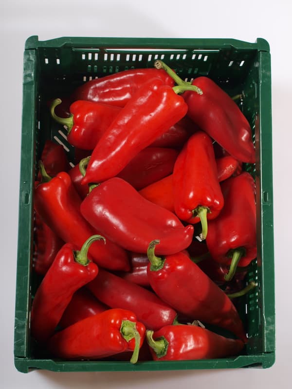 Paprika červená špičatá 1 ks