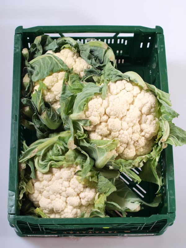 Květák 1 ks (min hm. 800 g+)