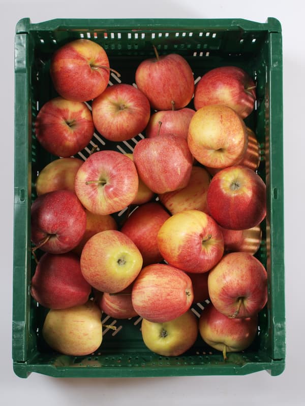 Apple Royal Gala 1pc