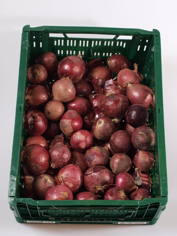 Onion red 1pc, loose