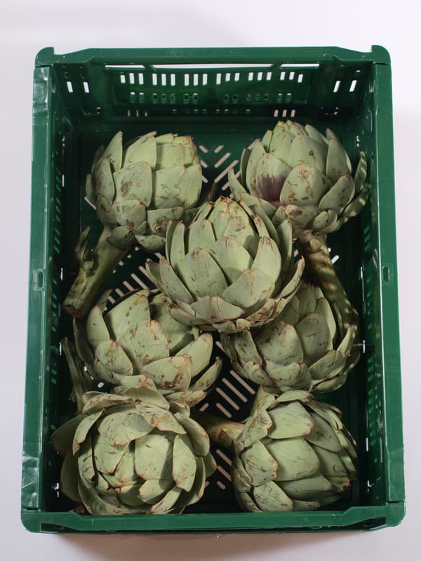 Artichoke 1 pc (approx. 200 g)