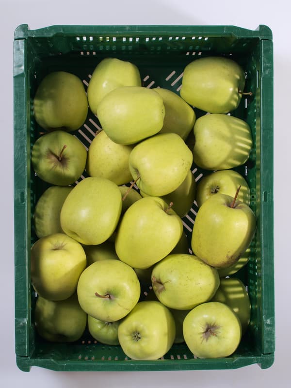 Apple Golden Delicious vintage 1pc