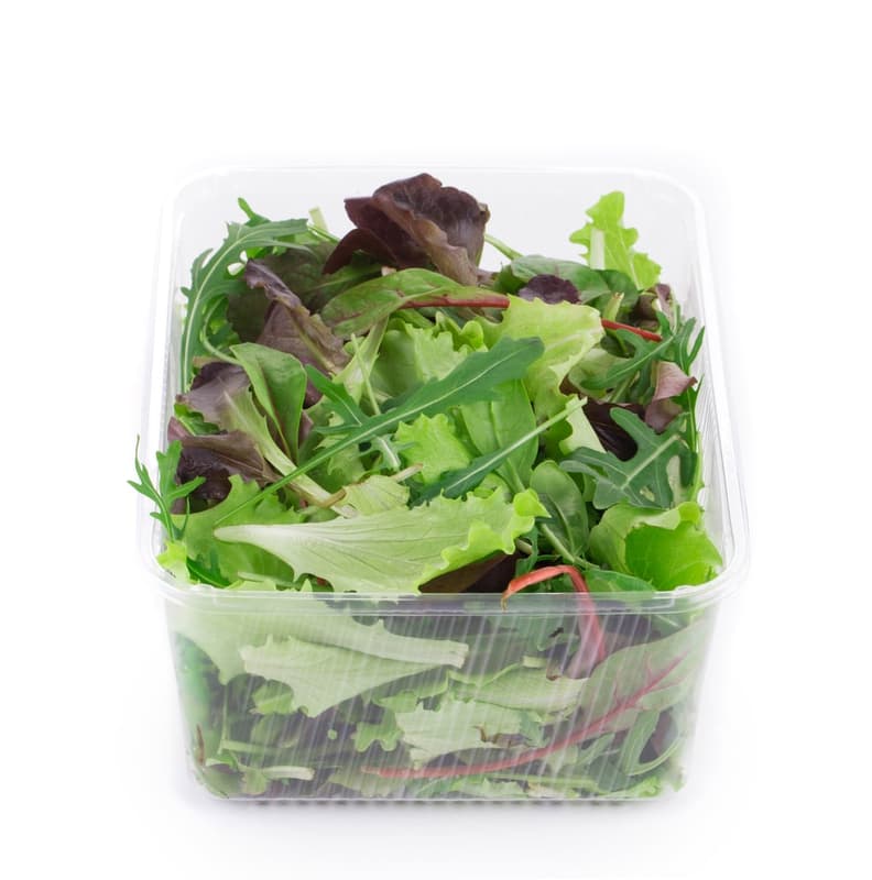 Mesclun mix salad, tray