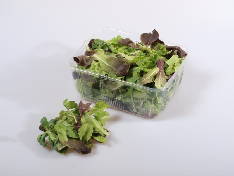 Mesclun mix salad, tray