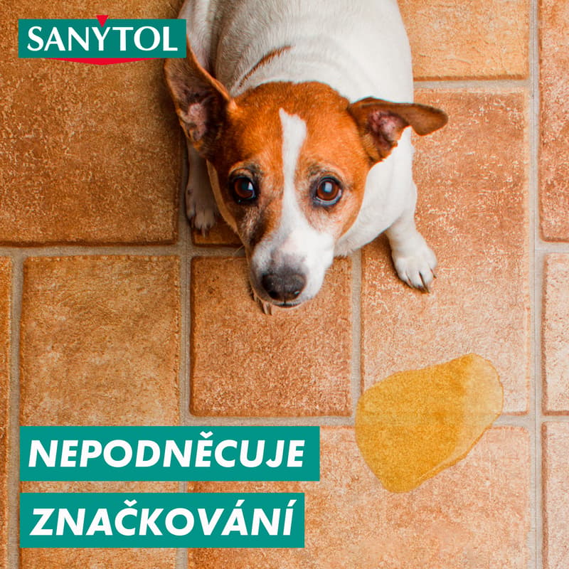 Sanytol Disinfectant for floors and surfaces with lemon scent