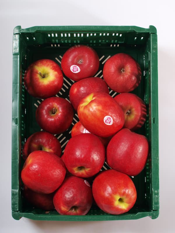 Apple Pink lady 1pc