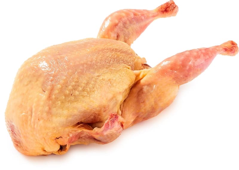 Quail