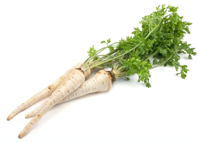 Parsley root with leaves, bundle (approx. 350g)