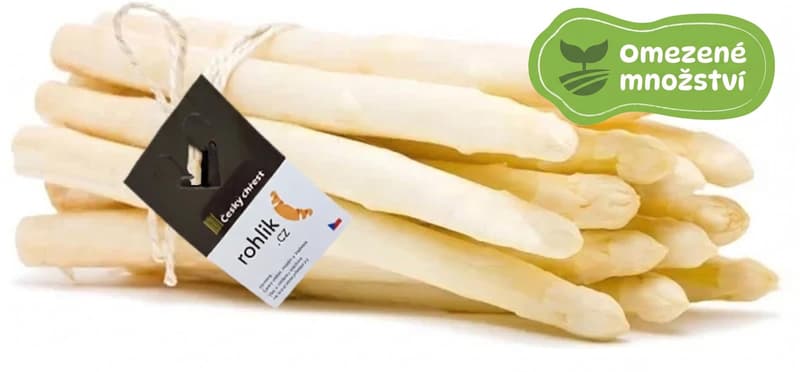 White asparagus 16 mm + (Czech asparagus), bundle