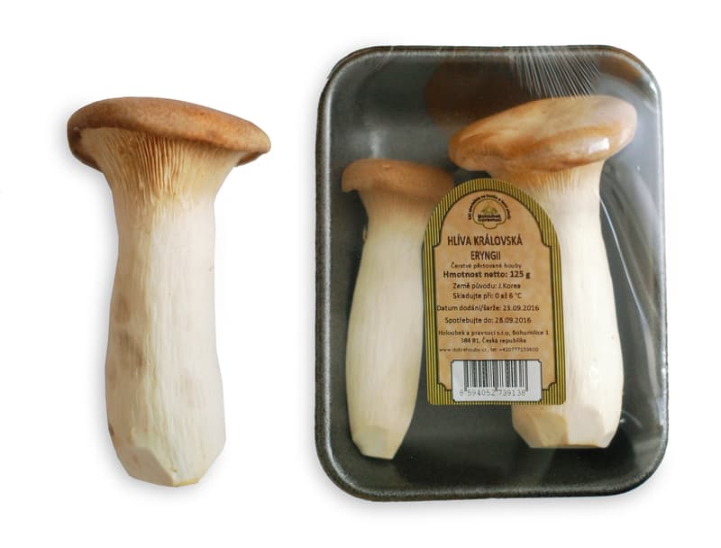 Oyster mushroom - ERYNGII