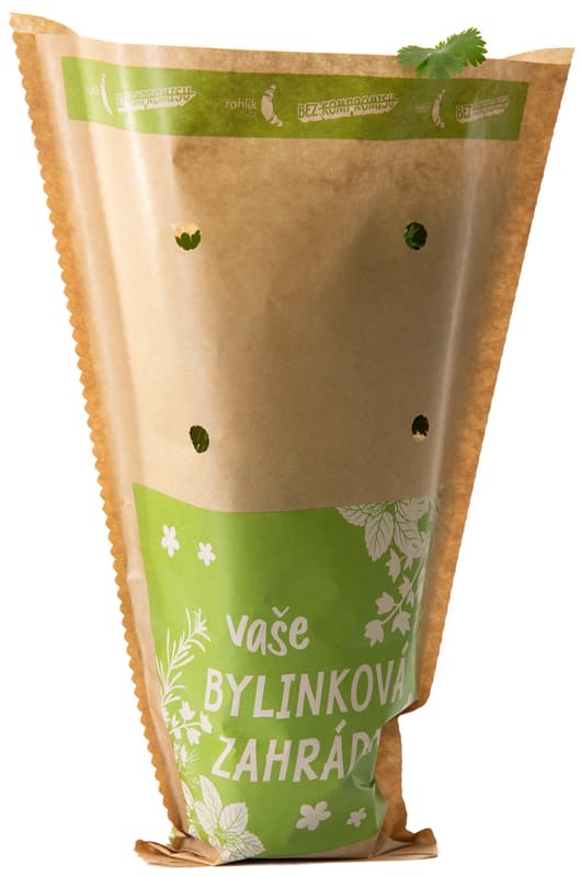 Rohlik.cz Koriandr v květináči