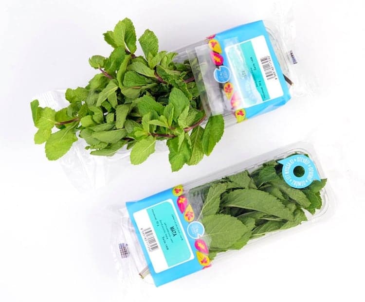 Titbit Cut mint, pack