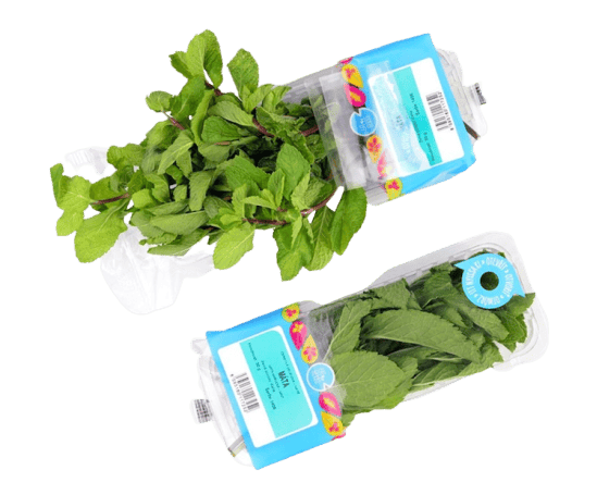 Titbit Cut mint, pack