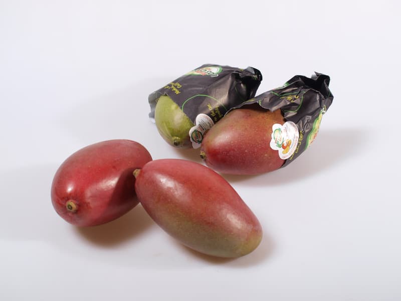 Mango k dozrání 1 ks