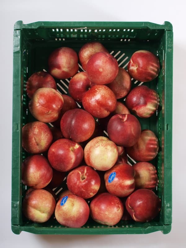 Nectarine yellow 1pc