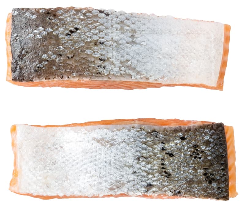 Salmon fillet with skin without bone duo-pack