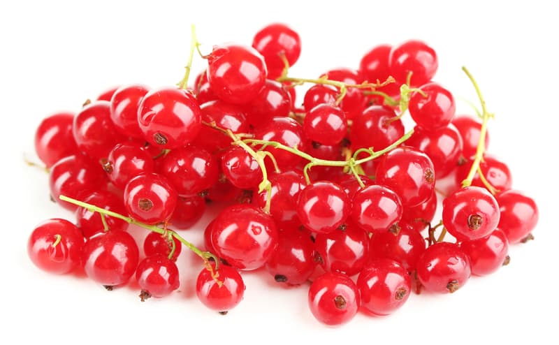 Redcurrant
