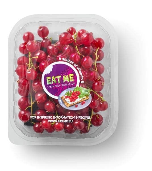 Redcurrant
