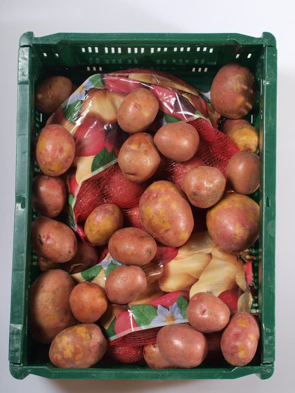 Red late potatoes, net