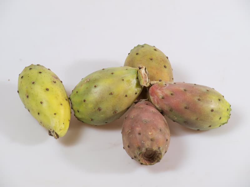 Cactus fig 1pc (approx. 200g)