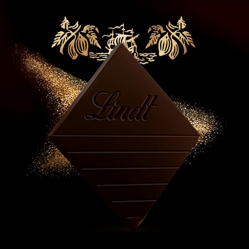 Lindt Chocolate EXCELLENCE Bitter 90% cocoa