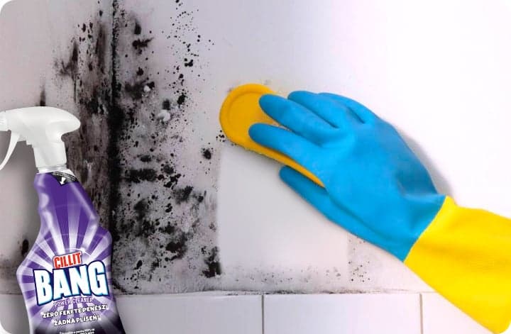Cillit Bang no mold spray