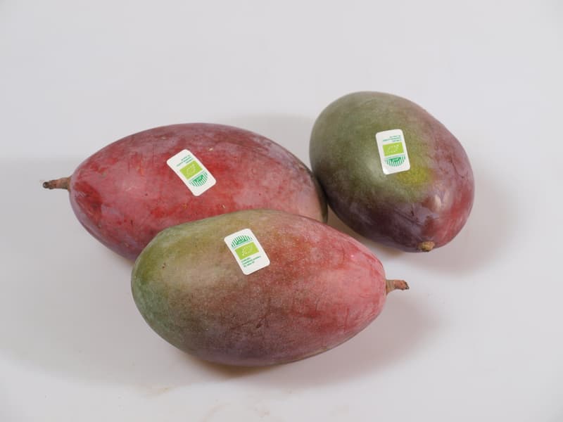 BIO Mango k dozrání 1 ks