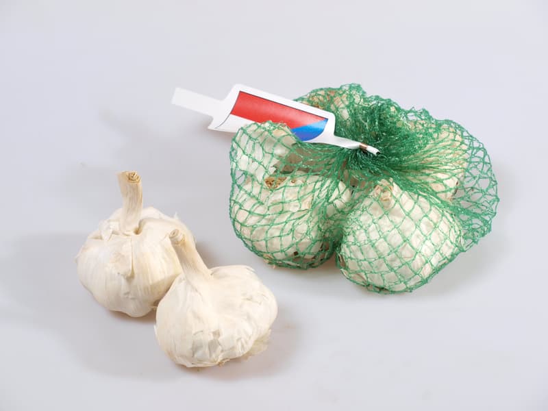 Česnek "ošklivák" český, síť