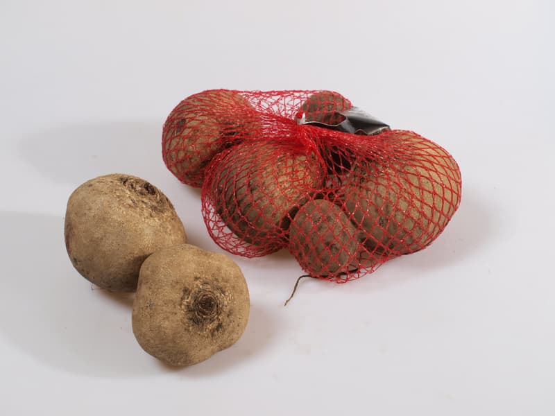Řepa červená, síť