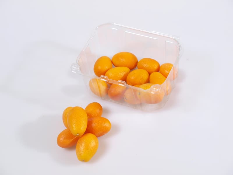 Titbit Kumquat, vanička