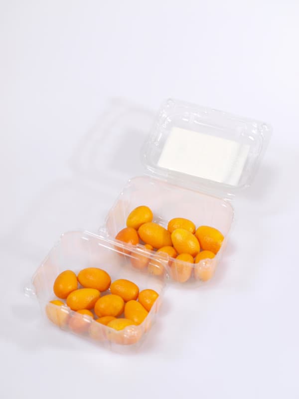 Titbit Kumquat, vanička