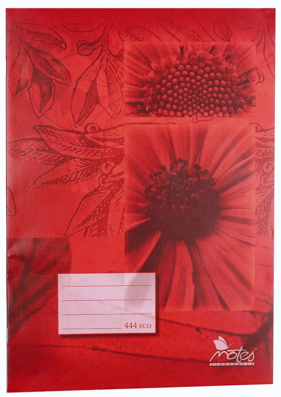 Notes Školní sešit A4 linkovaný, 444, 40 listů