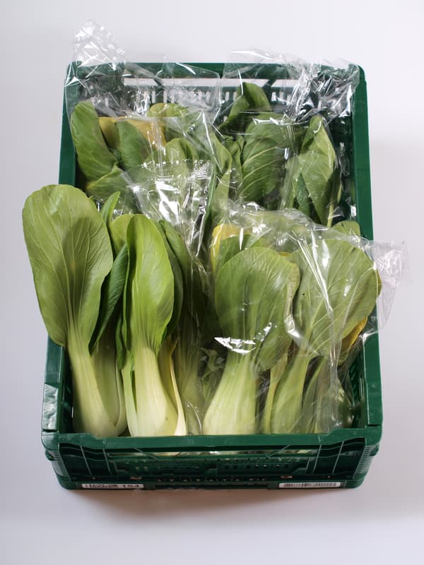 Baby Pak Choi, package 2pcs