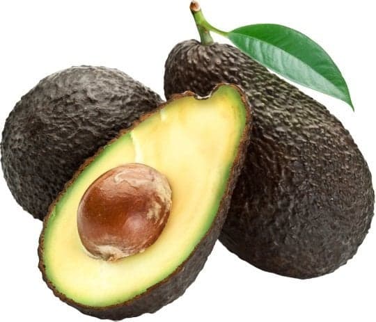 Avocado Hass to ripen, net