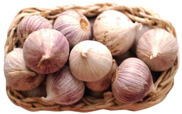 One clove garlic, pack